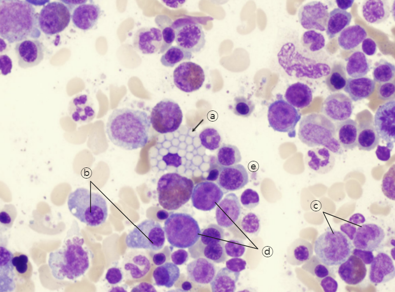Mott cell
