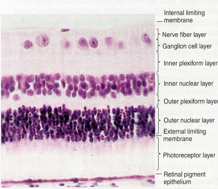 Pasted image 20241203150314.png