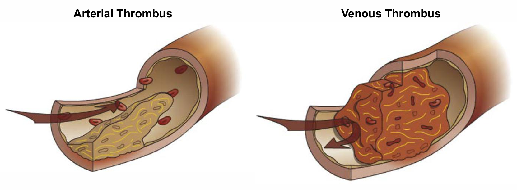 Pasted image 20250923115824.png