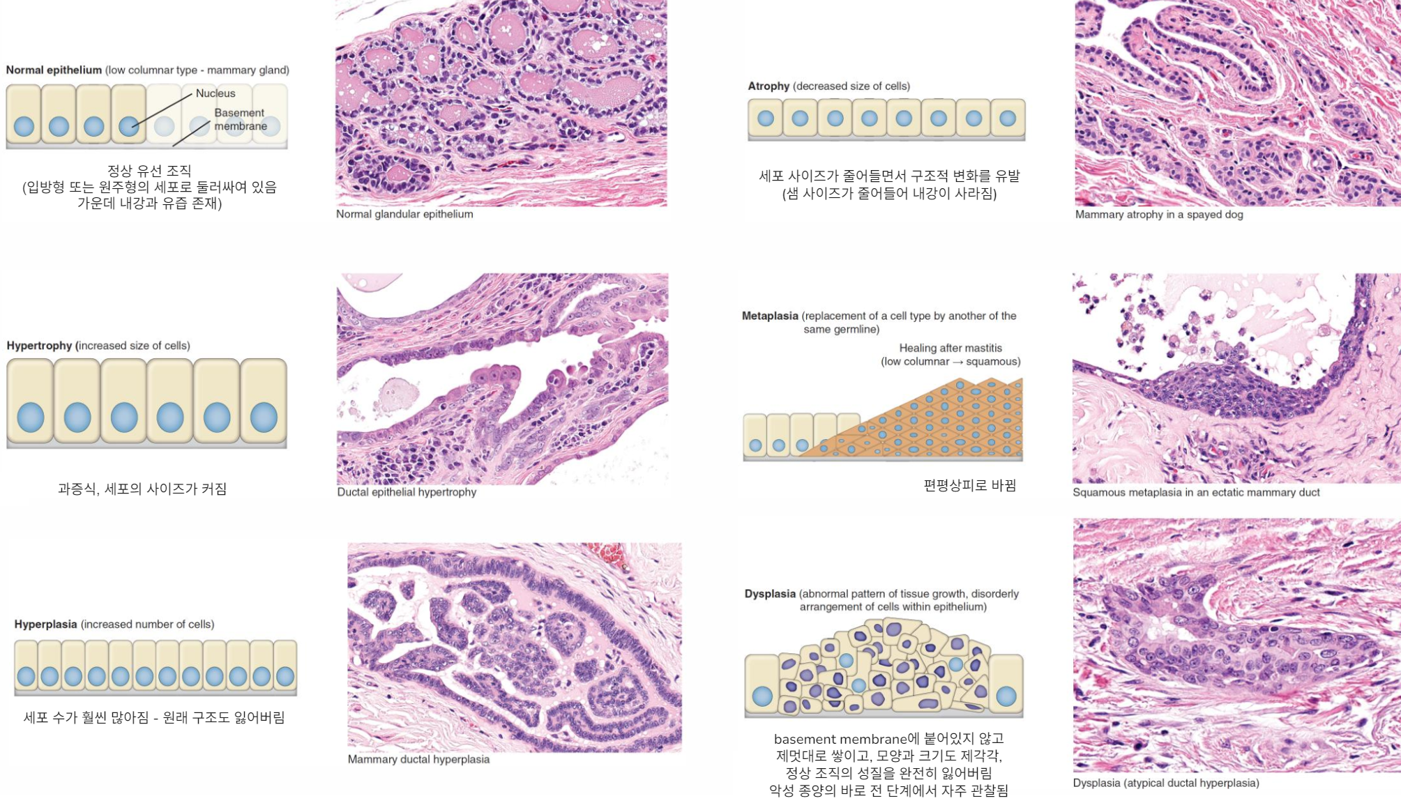 Pasted image 20251022103137.png