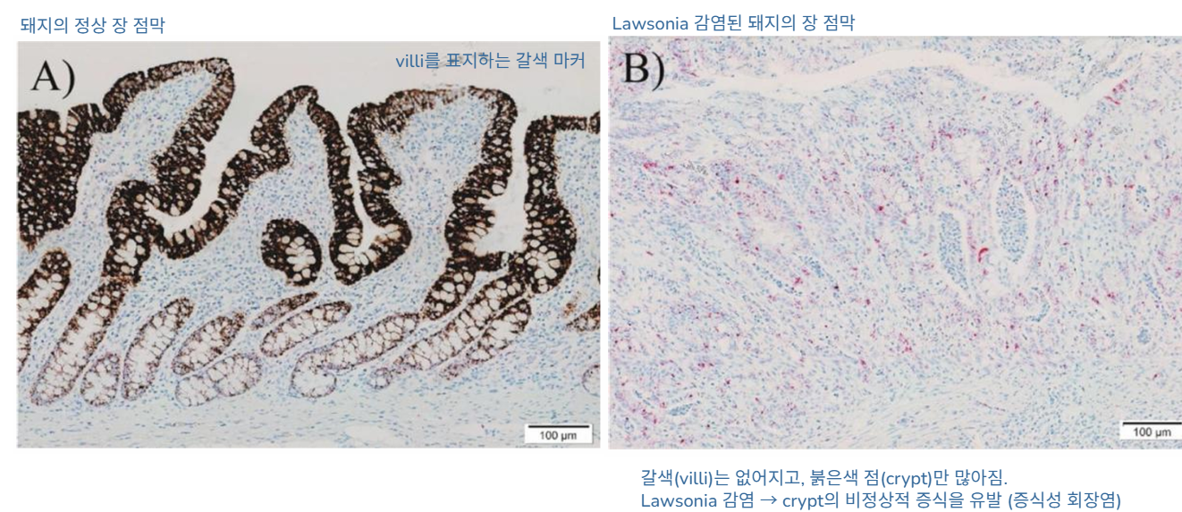 Pasted image 20251111114753.png