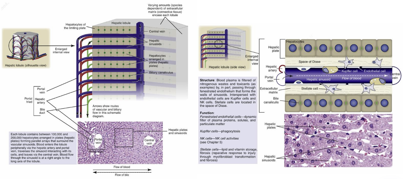 Pasted image 20251216212645.png