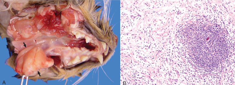 Pasted image 20260410103318.png