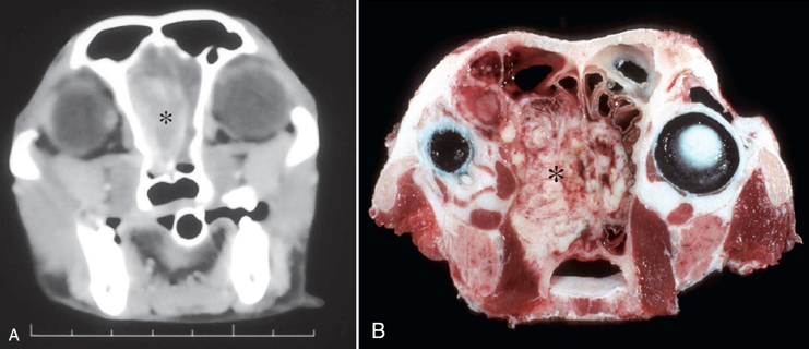 Pasted image 20260410103608.png