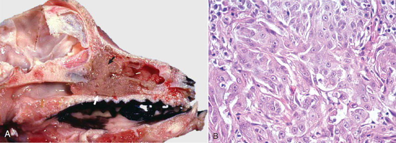 Pasted image 20260410103751.png