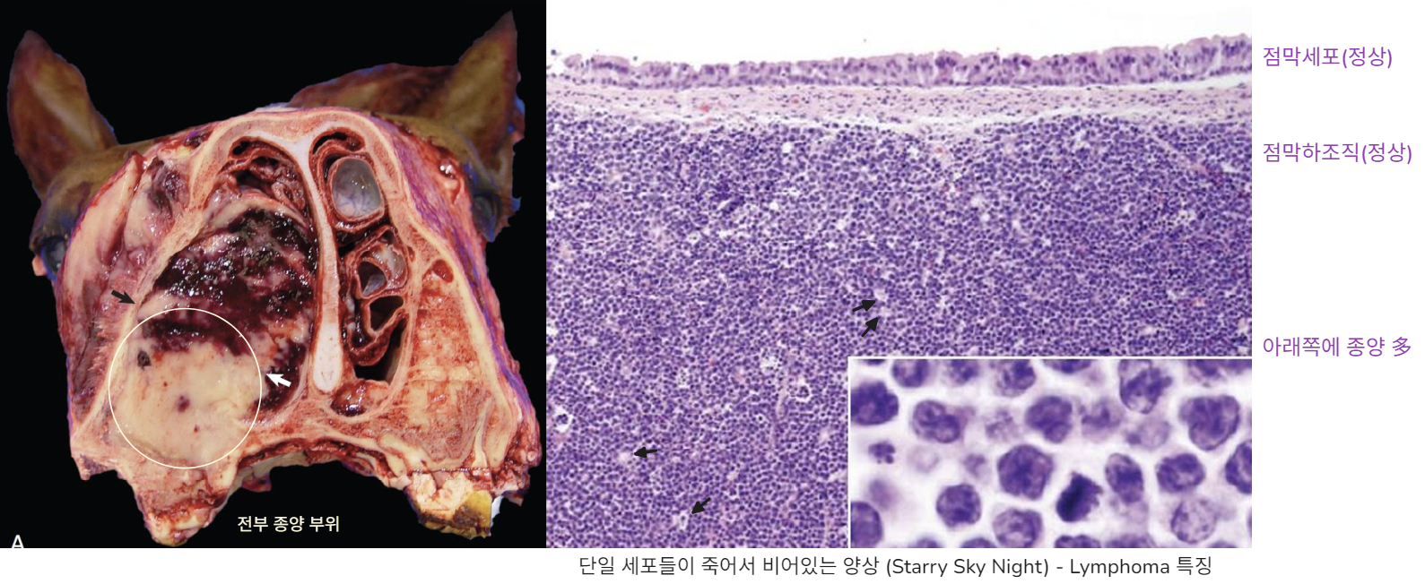 Pasted image 20260410105030.png