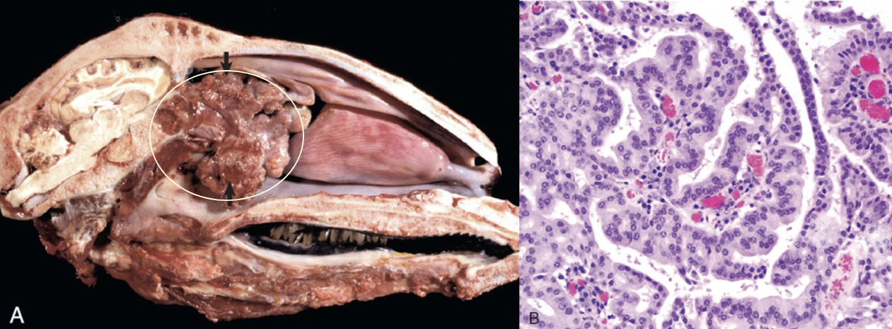 Pasted image 20260410105050.png