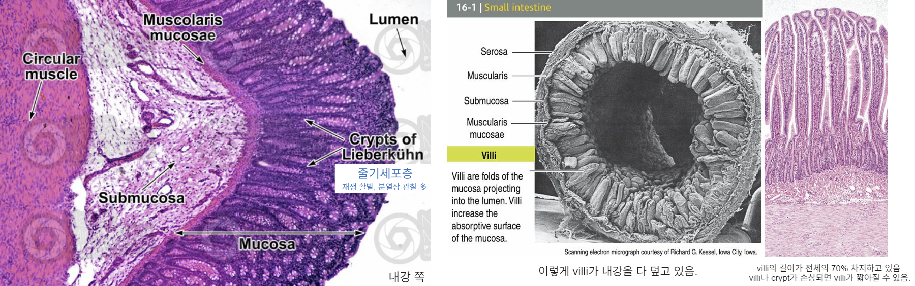 image_1765611624772.png