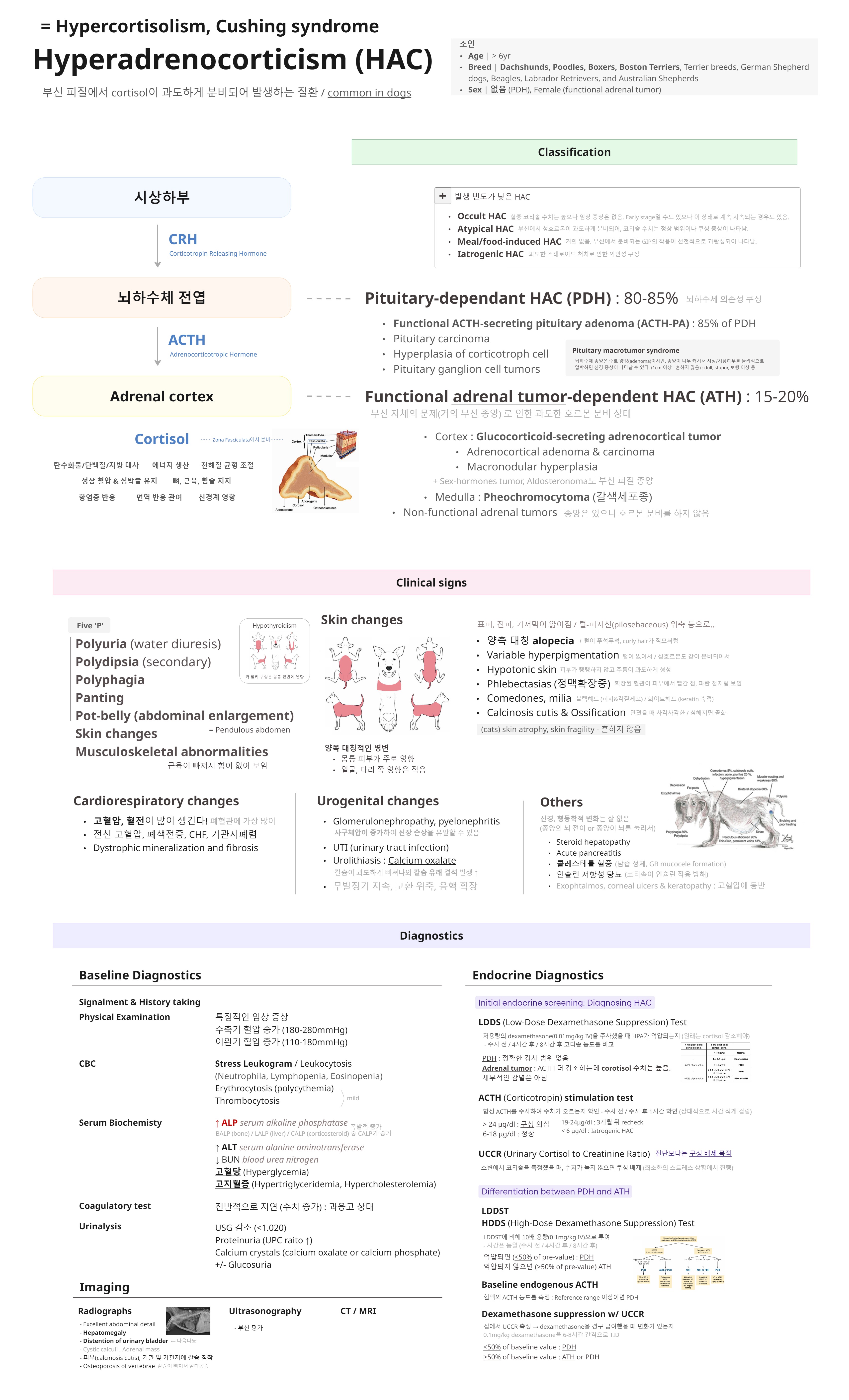 현내 - HAC (06.19 13).jpg