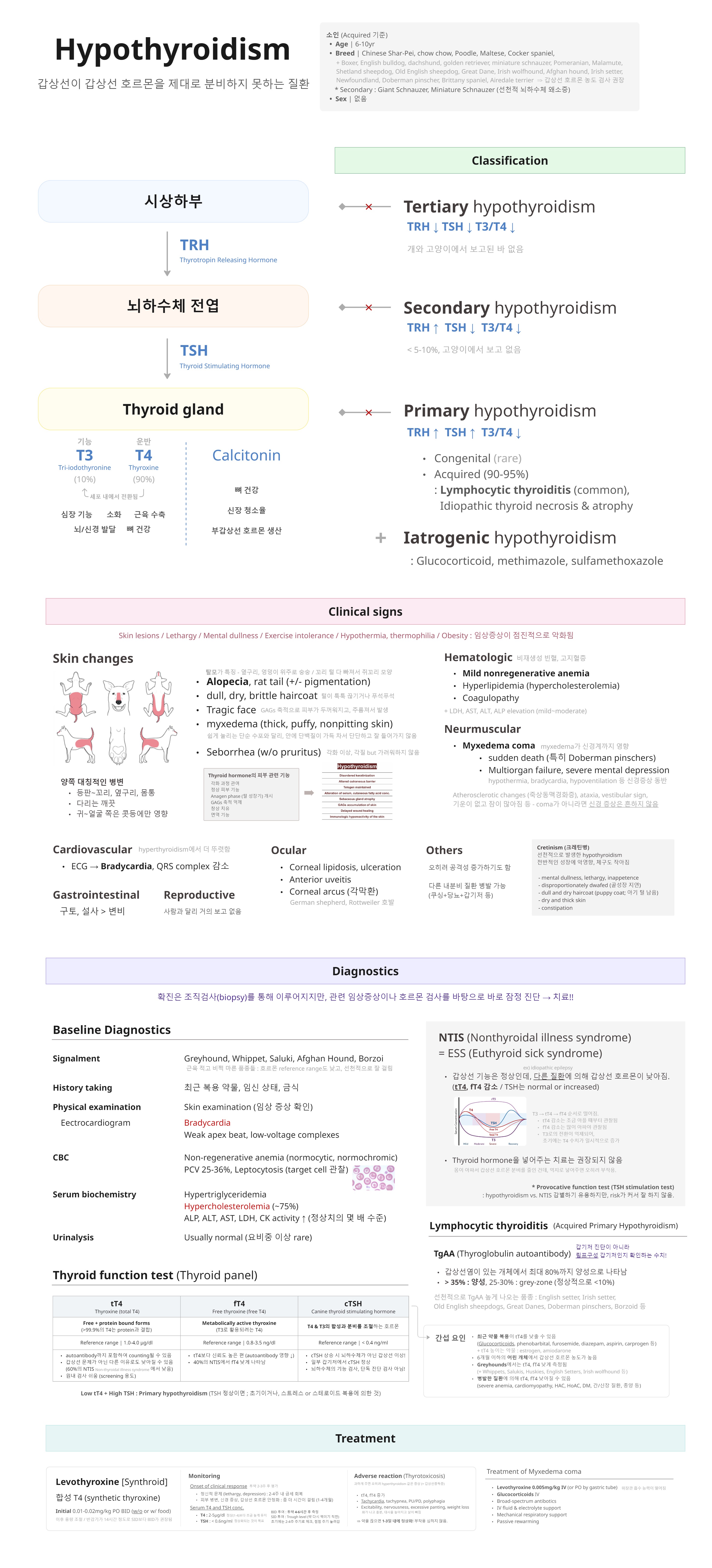 현내 - Hypothyroidism (06.18 최종).jpg